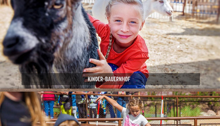 Ländliche Erlebnisse und Attraktionen für Groß + Klein
